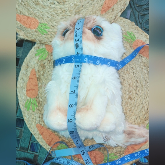 Hugs baby cat - Picture 8 of 8